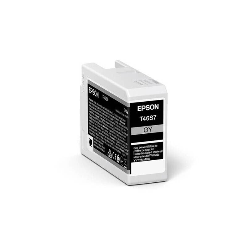 Epson C13T46S700 Grey Genuine Ink Cartridge