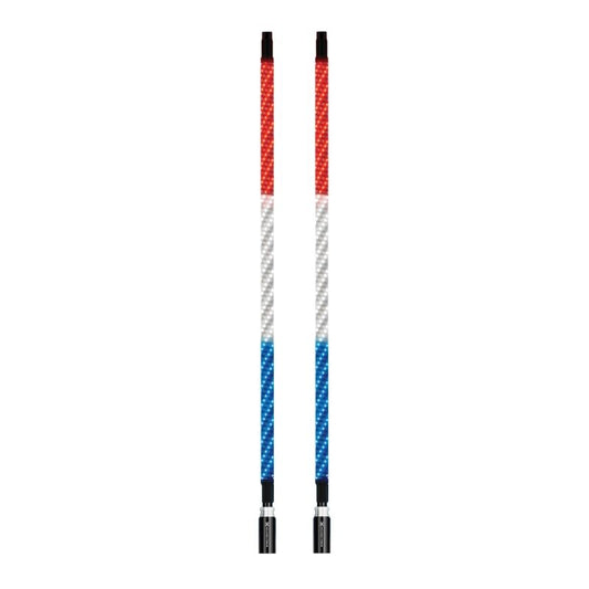 ECOXGEAR 4 Foot Whip LED Kit W/ Controller [SEI-LEDZ4WHP4X2AU]