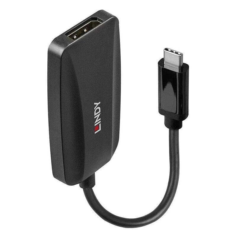 Lindy USB to DP Converter [43337]