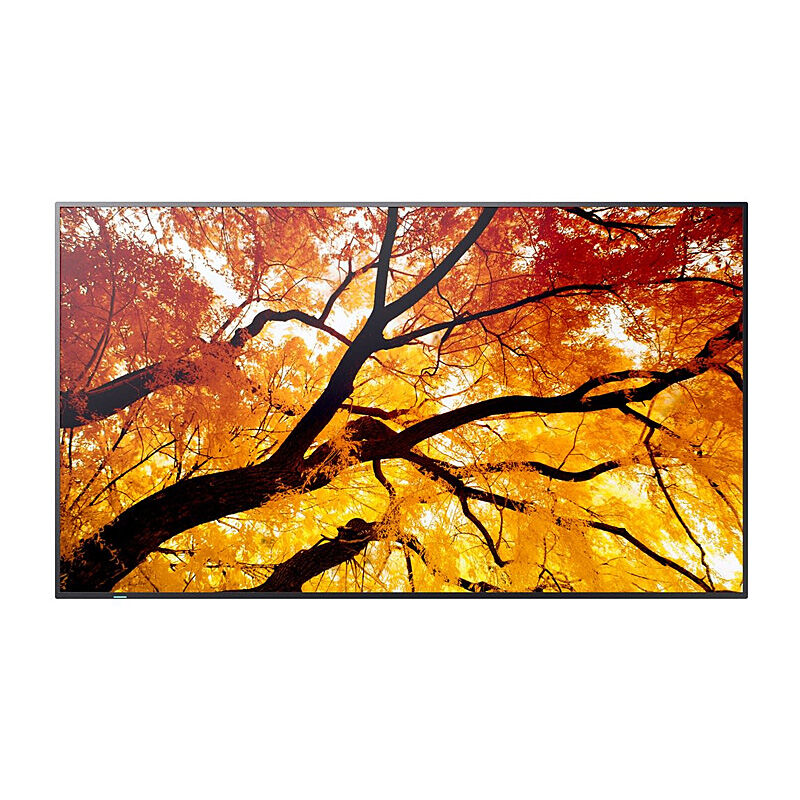 SHARP M-series 75'' Display