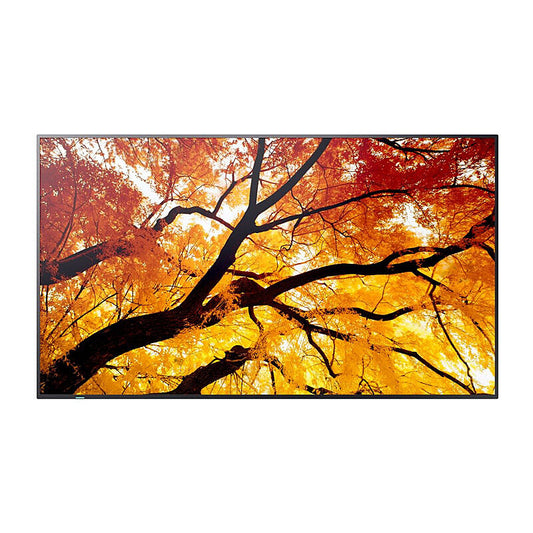 SHARP M-series 98'' Display